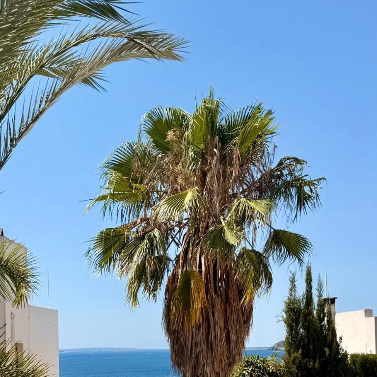 Casa Klod Ibiza - Casa - 13