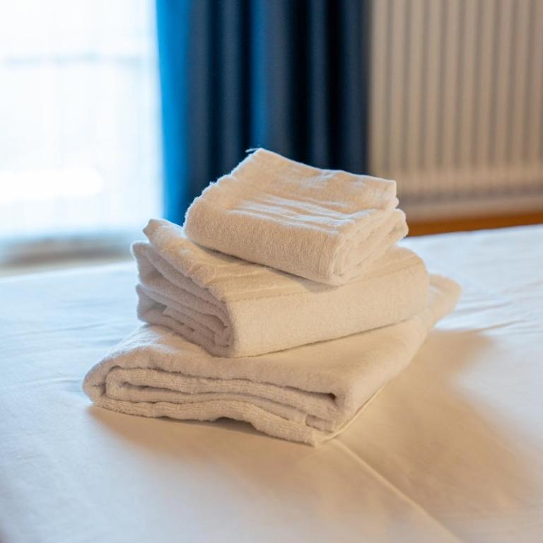 Dolomiti Ski & Green Lodge Apartment & Free Park - Apartamento de 2 dormitorios - 16