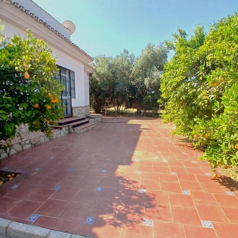 Finca El Vergel Casa Rural - Haus mit 3 Schlafzimmern - 5