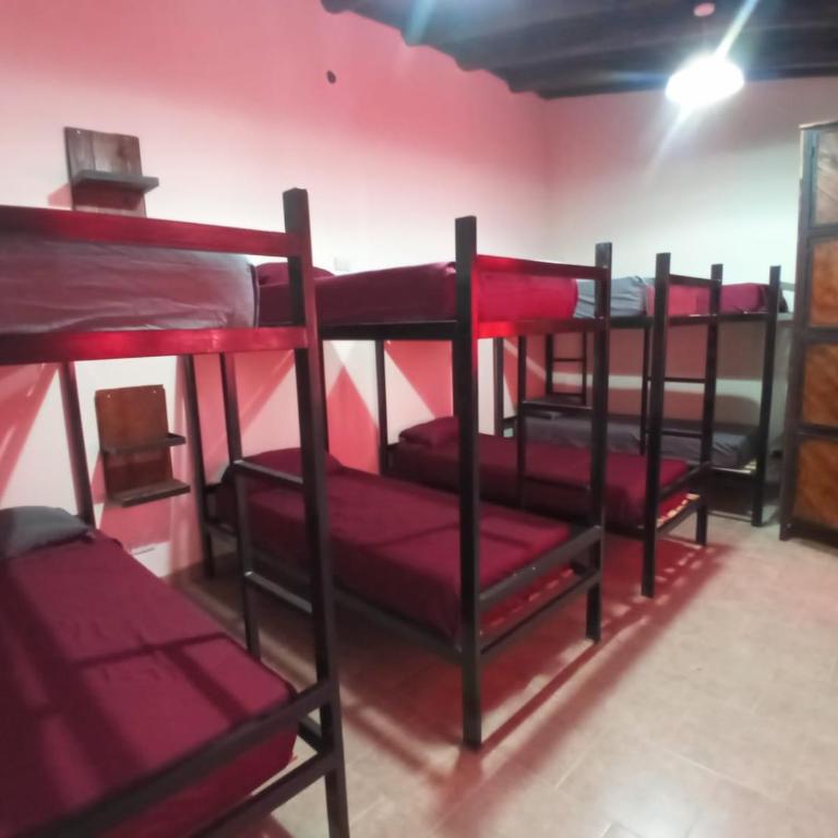 Hostel El Alamo - Habitación Compartida Mixta de 8 camas - 3