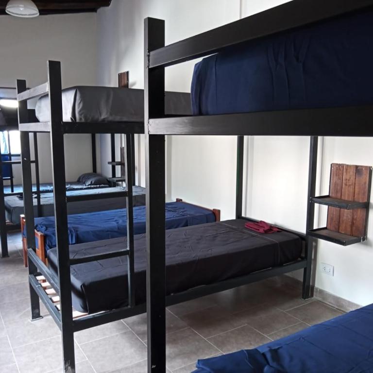 Hostel El Alamo - Habitación Compartida Mixta de 8 camas - 4