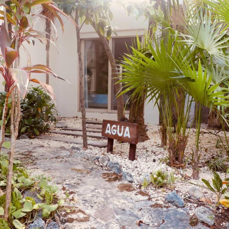 OMA CANCUN - Holistic Healing Center - Suite Deluxe con cama extragrande - 14