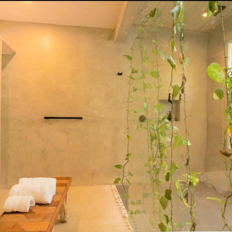 OMA CANCUN - Holistic Healing Center - Suite Deluxe con cama extragrande - 19