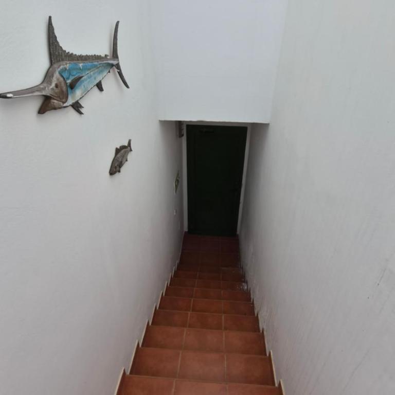 Apartamento Catalina - Apartamento de 1 dormitorio - 14