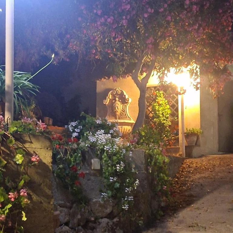Villa daniela - Casa con 1 Camera da Letto - 2