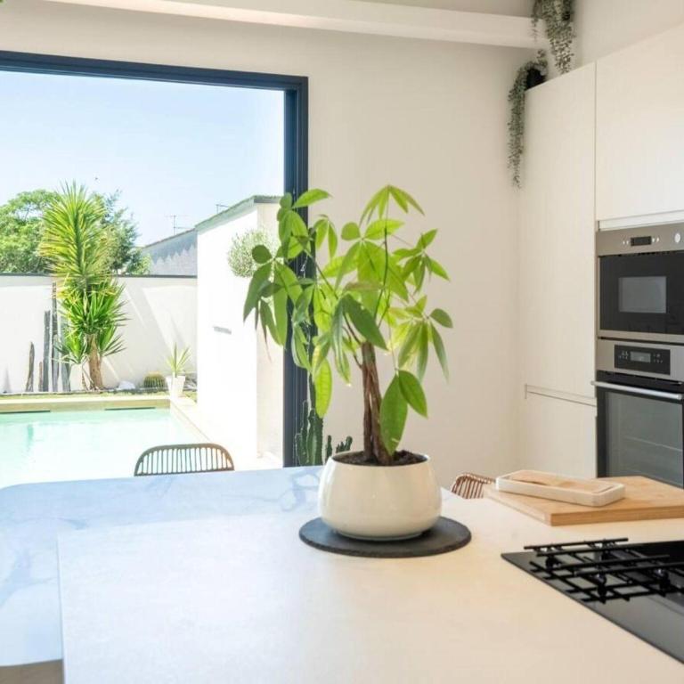 Beautiful Montpellier Villa with Pool - Casa de vacaciones de 2 dormitorios - 16