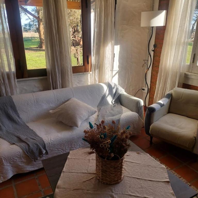 Rosamelia - Apartamento de 1 dormitorio - 16