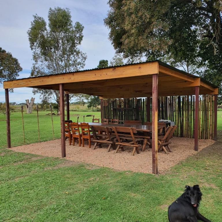 Rosamelia - Apartamento de 1 dormitorio - 24