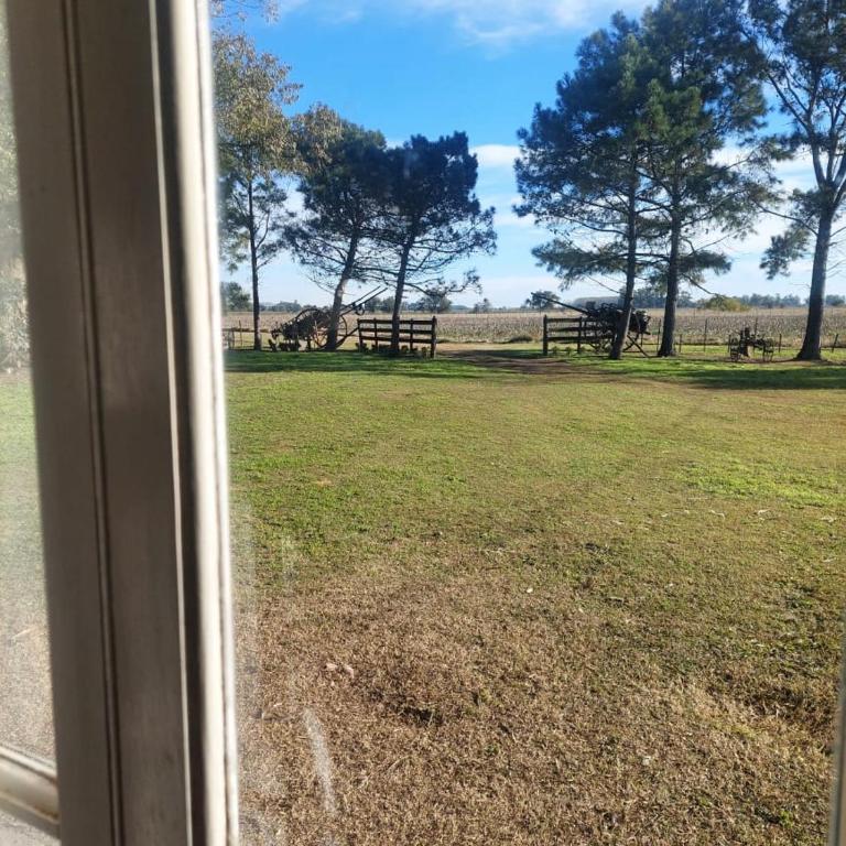 Rosamelia - Apartamento de 1 dormitorio - 27