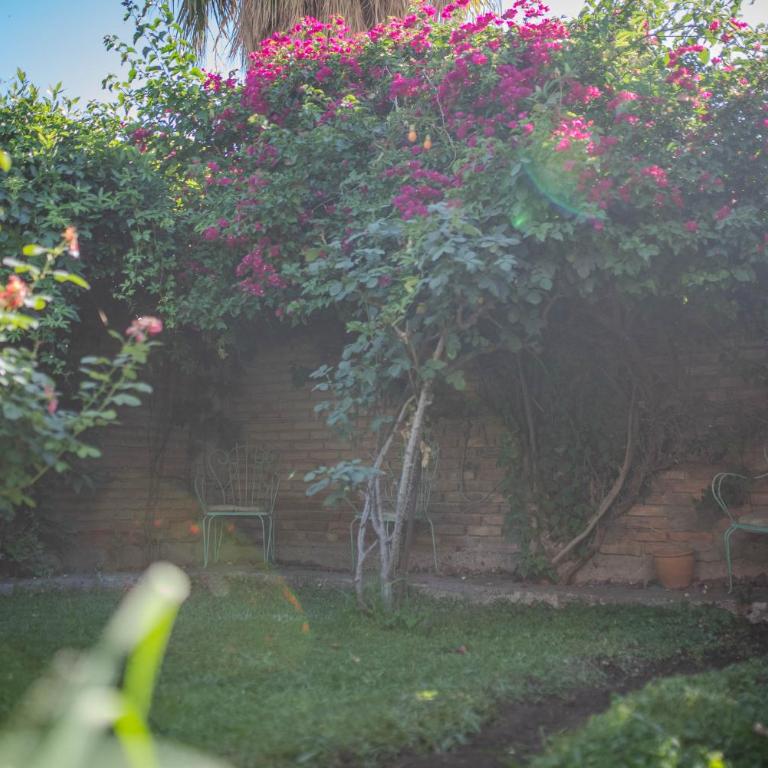 Casa Jade hogar familiar con jardín y parrilla - Two-Bedroom House - 7
