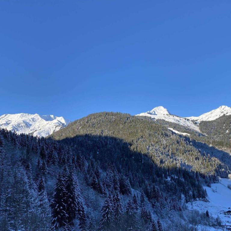 Appartement cosy avec vue village - 4 pers. - FR-1-886-4 - Appartement - 8