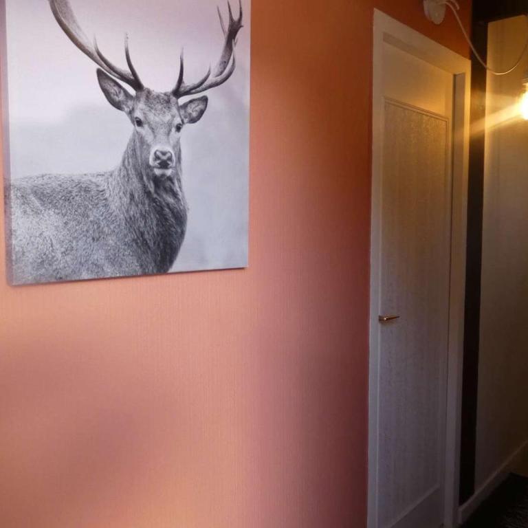 Appartement chaleureux, animaux OK - 9 pers. - FR-1-886-52 - Appartement - 11