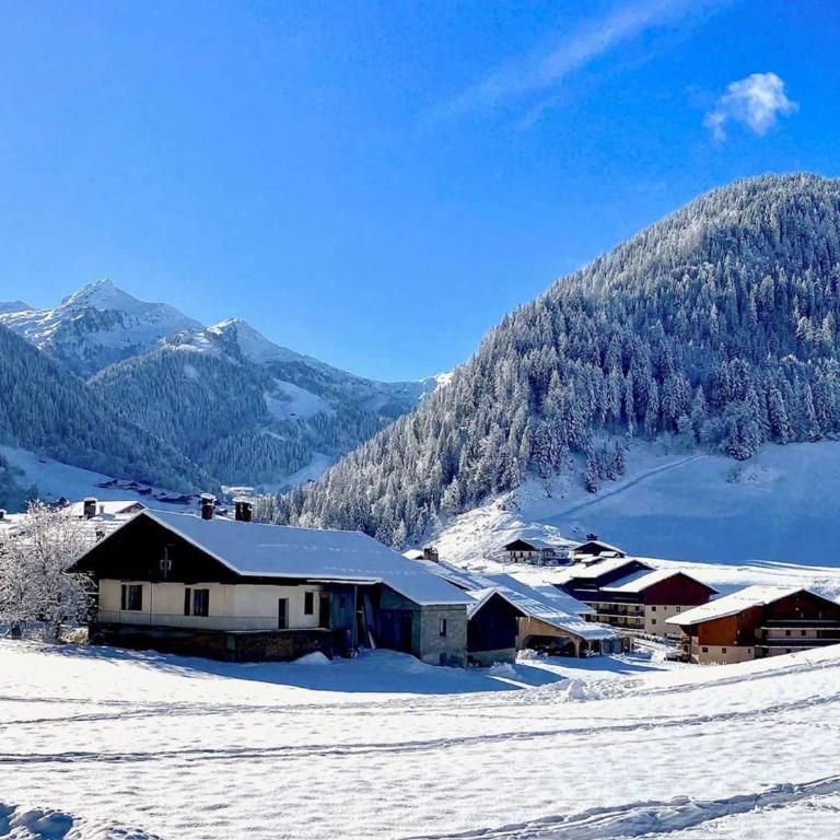 Chalet accueillant au cœur du village - 10 pers. - FR-1-886-65 - Chalet - 9
