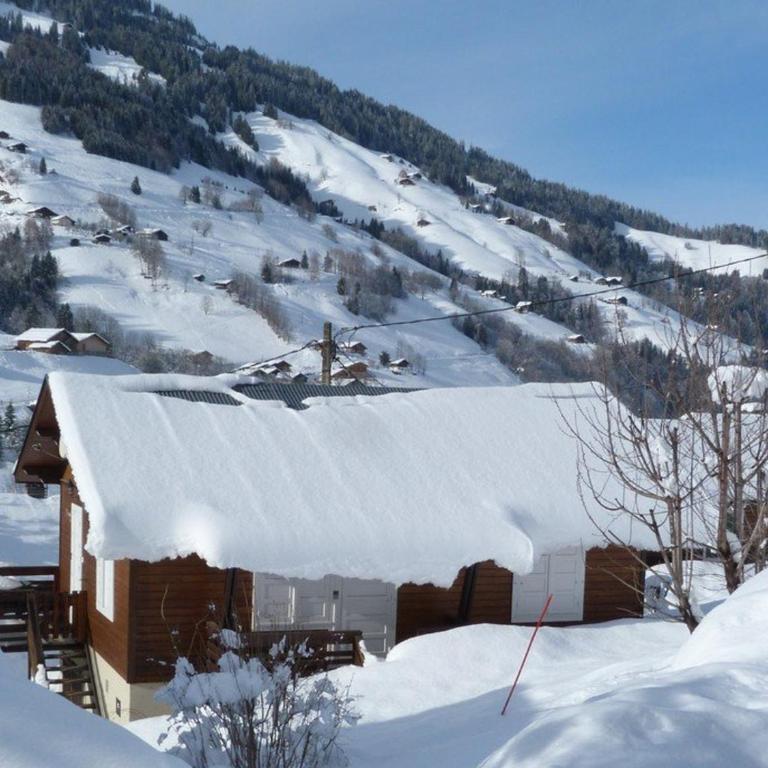 Chalet au cœur du village, animaux OK - 6 pers. - FR-1-886-67 - Chalet - 9