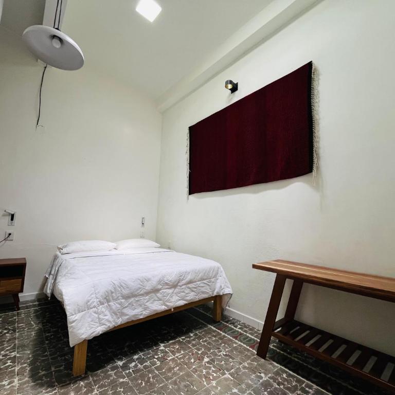 La Casa de Lichita, whole apartment, Downtown Oaxaca city - Two-Bedroom Apartment - 28