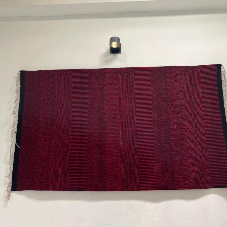 La Casa de Lichita, whole apartment, Downtown Oaxaca city - Two-Bedroom Apartment - 32