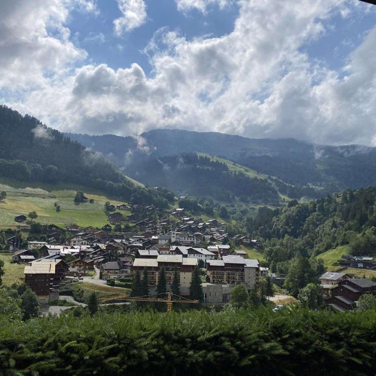 Appartement charmant au cœur d'Arêches - 4 pers. - FR-1-886-80 - Appartement - 10