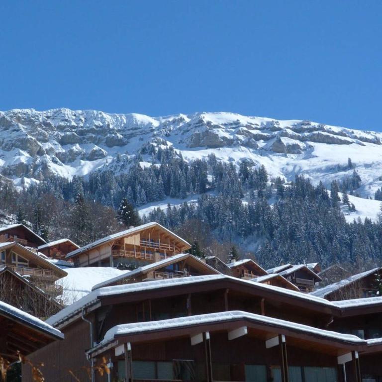 Appartement au cœur du village - 6 pers. - FR-1-886-102 - Appartement - 5