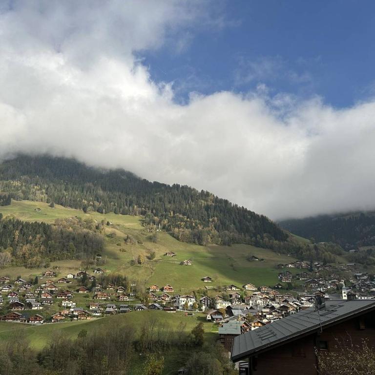 Appartement avec vue imprenable sur le village - 7 pers. - FR-1-886-141 - Appartement - 11