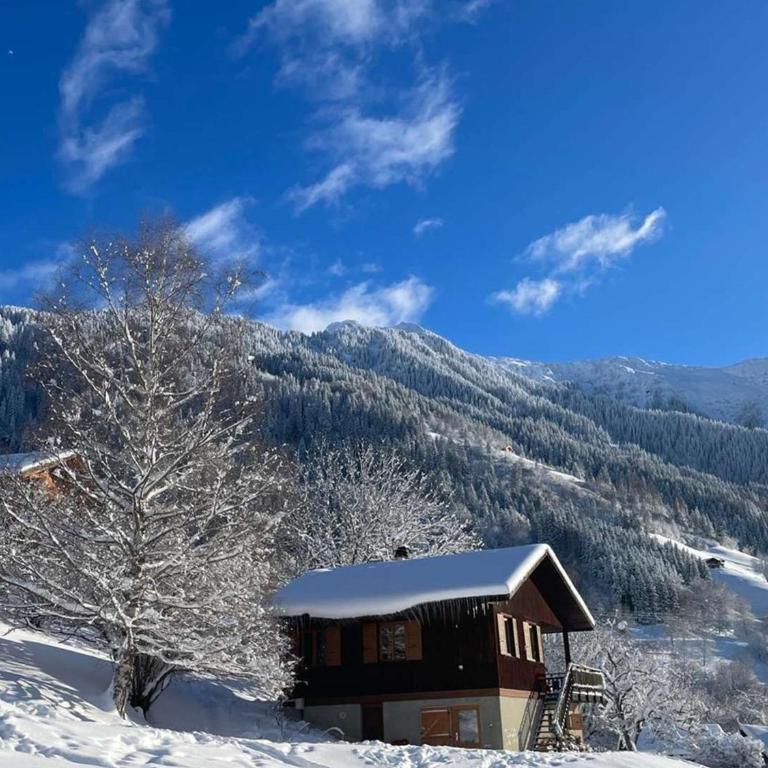 Chalet cosy, animaux admis, vue montagne - 11 pers. - FR-1-886-127 - Chalet - 17