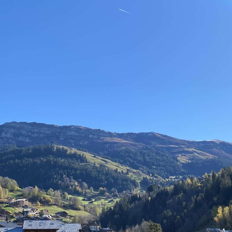 Appartement chaleureux proche navettes - 4 pers. - FR-1-886-131 - Appartement - 11