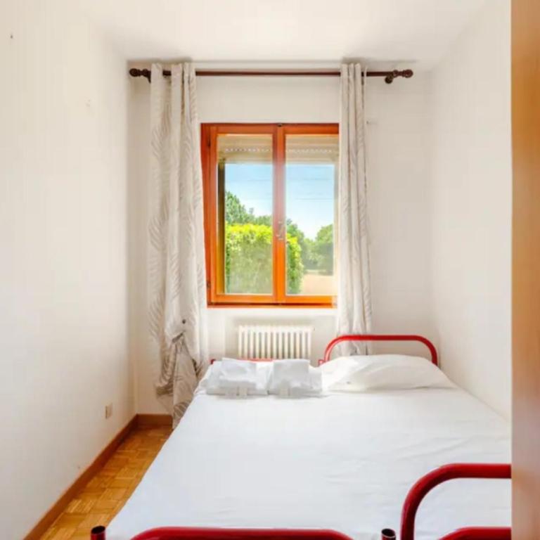 Apartment with two bedrooms - Apartamento de 2 dormitorios con vistas al jardín - 9