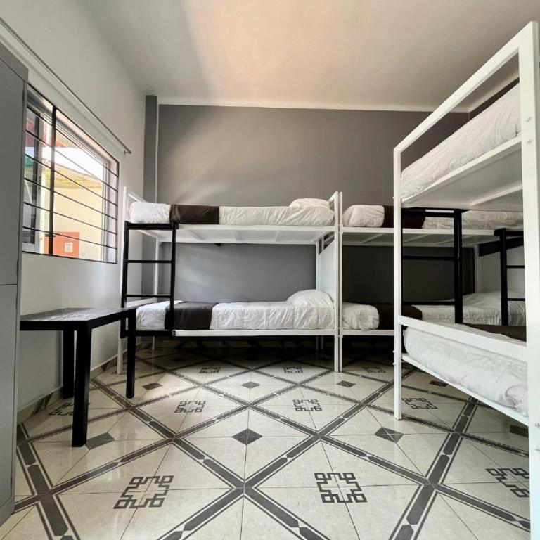 WHOST Hotel y Hostal - Habitación Compartida para hombres con 6 camas - 1