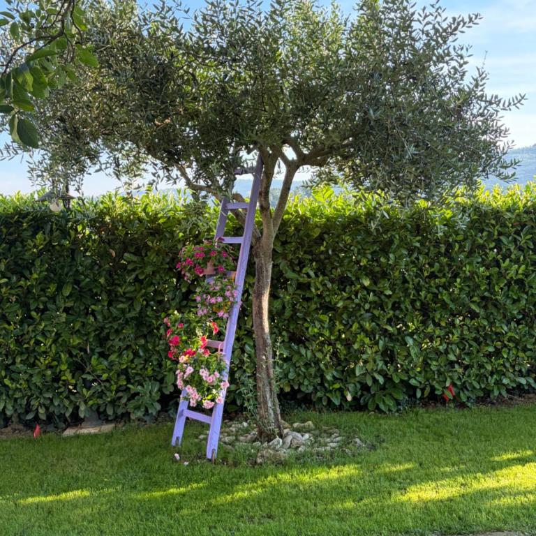 Assisi, la Noce - Appartamento con 1 Camera da Letto - 10