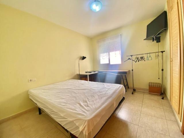 Puerto de Gandía - Apartamento de 3 dormitorios - 7