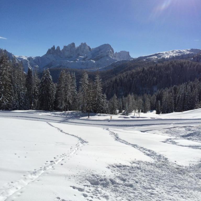 Appartamento Dolomiti Dream 2 - Appartamento con 1 Camera da Letto e Vista Giardino - 25