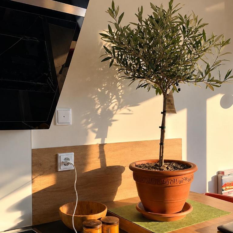 Urban Garden Retreat in Munich South - Apartamento de 1 dormitorio - 9