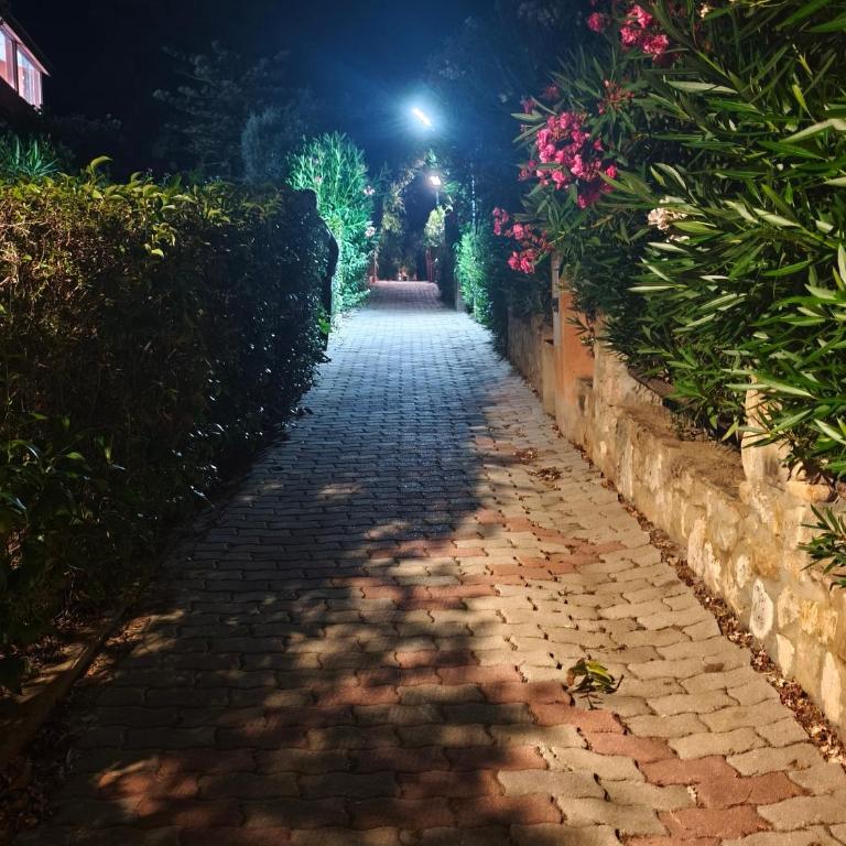 Villino Frau Melis - Casa con 3 Camere da Letto - 13