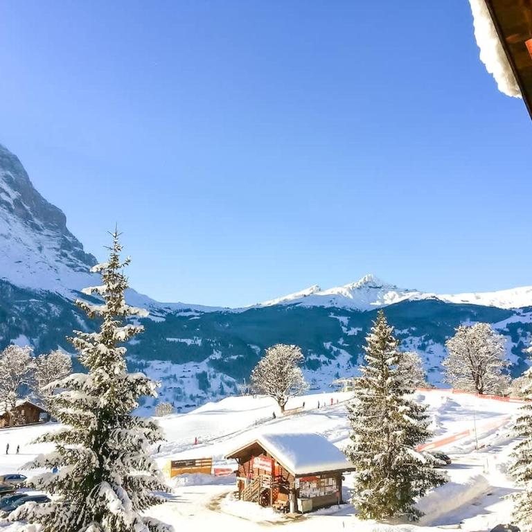 Bodmi on the top Apartment - Aare Jungfrau AG - Appartamento - 8