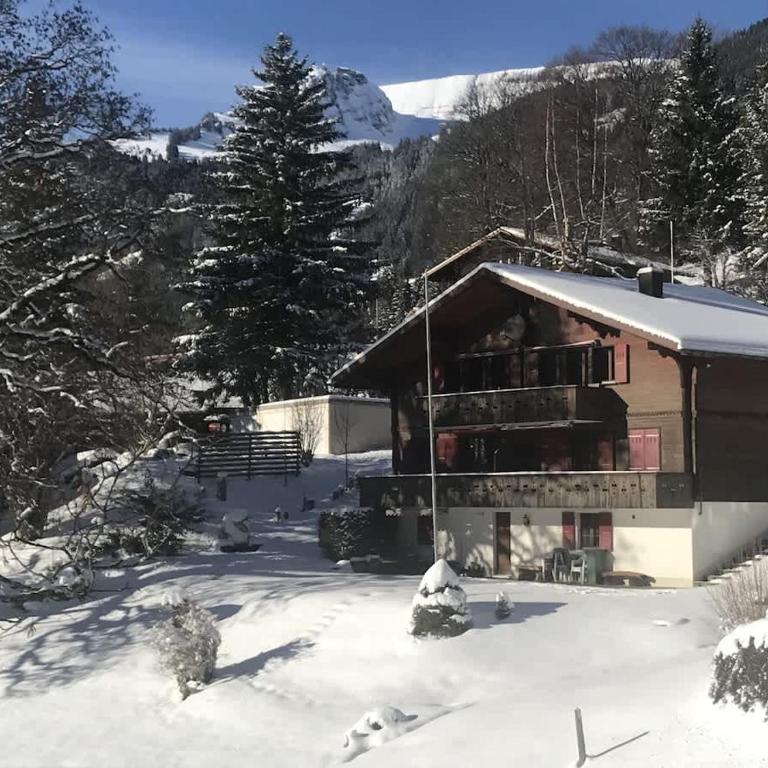 Bussalp Apartment - Aare Jungfrau AG - One-Bedroom Apartment - 1
