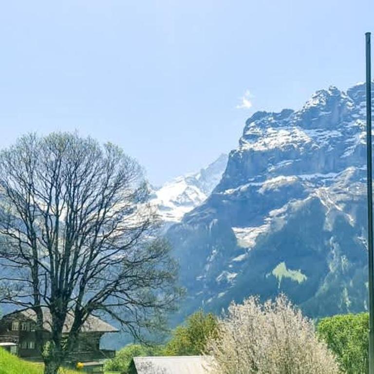 Bussalp Apartment - Aare Jungfrau AG - One-Bedroom Apartment - 17