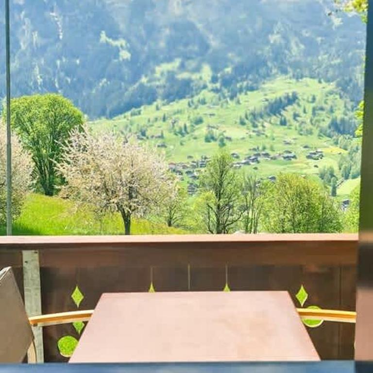 Bussalp Apartment - Aare Jungfrau AG - One-Bedroom Apartment - 21