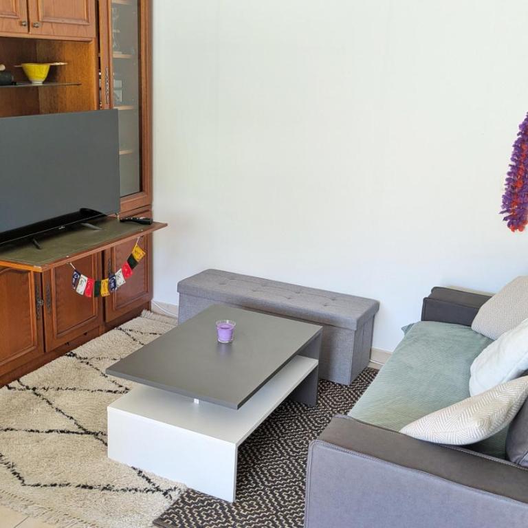 T2 au calme, spacieux et grande terrasse - Appartement 1 Chambre - 4