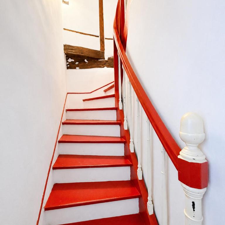 La Case de Beauval - Appartement 2 Chambres - 10
