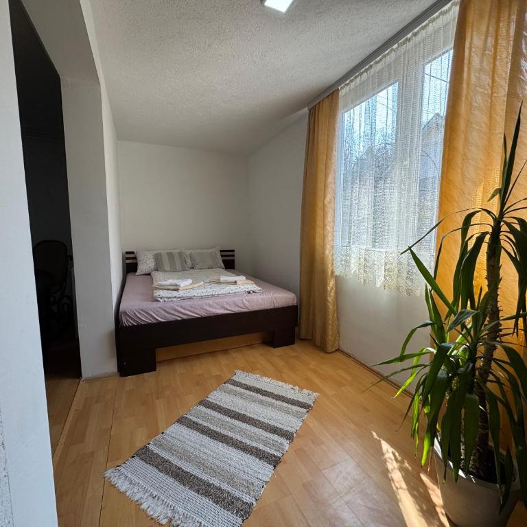 Studio Apartman Đurđevak 2 - Apartman sa 1 Spavaćom Sobom - 2