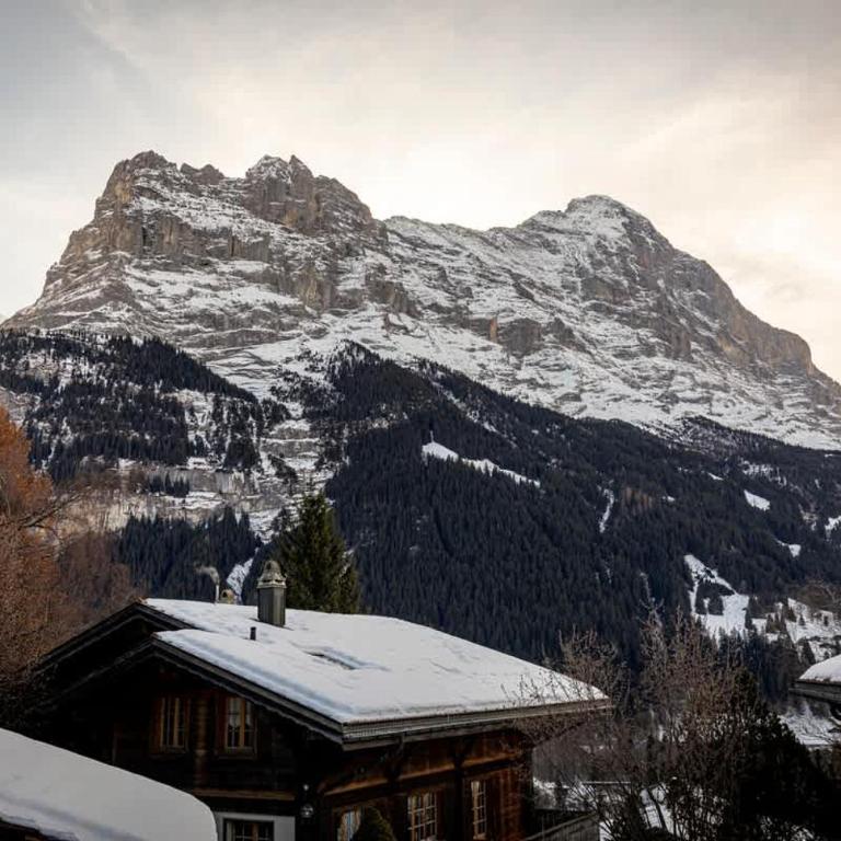 Apartment Chalet Condor - Aare Jungfrau AG - Apartment - 21