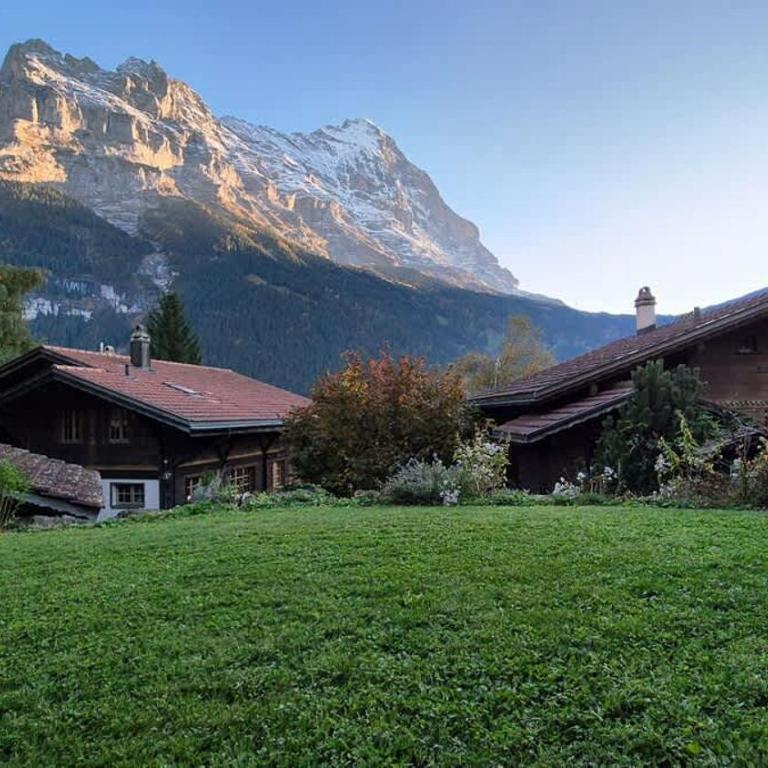 Apartment Chalet Condor - Aare Jungfrau AG - Apartment - 24