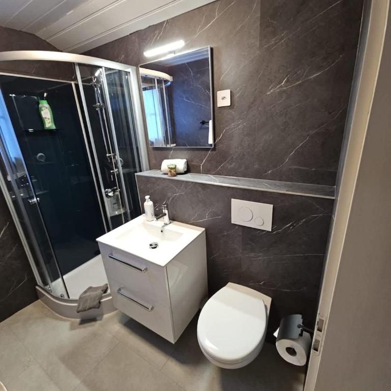 First Apartment - Aare Jungfrau AG - Appartamento - 15