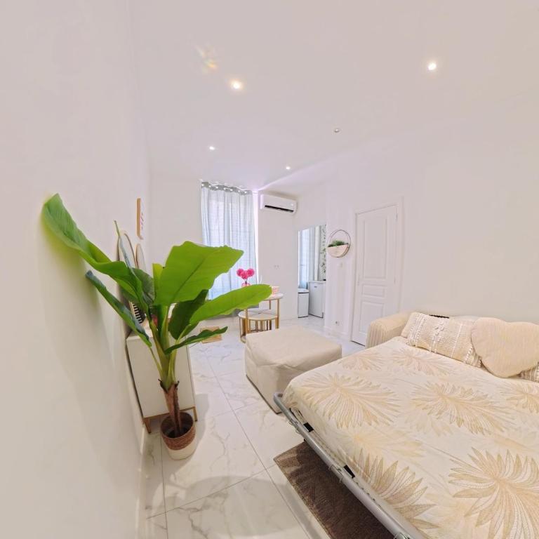 Beautiful refurbished air conditioned studio heart of Nice - One-Bedroom Apartment - 4
