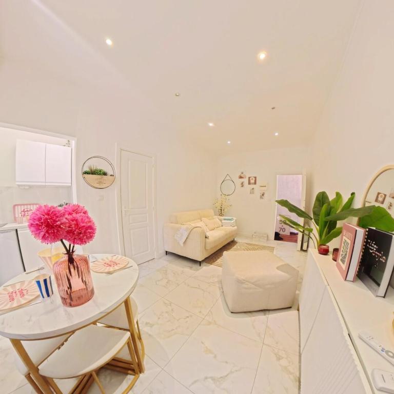 Beautiful refurbished air conditioned studio heart of Nice - One-Bedroom Apartment - 14