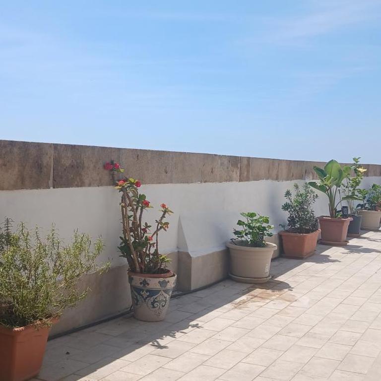 Attico Scogliera d'Armisi - One-Bedroom Apartment - 26
