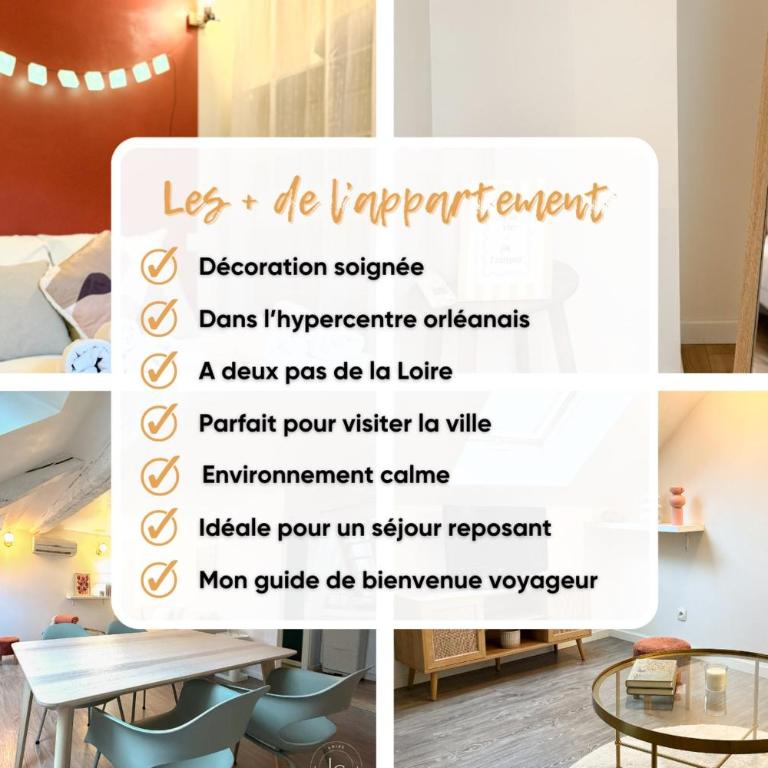La Charpenterie - T3 Hypercentre - Proche Loire - Appartement - 19
