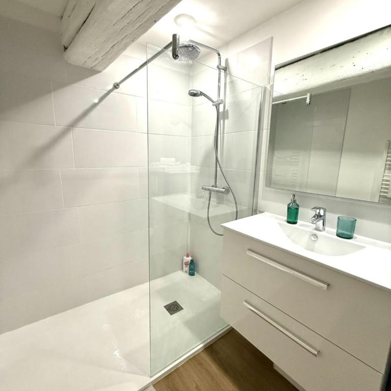 La Charpenterie - T3 Hypercentre - Proche Loire - Appartement - 25