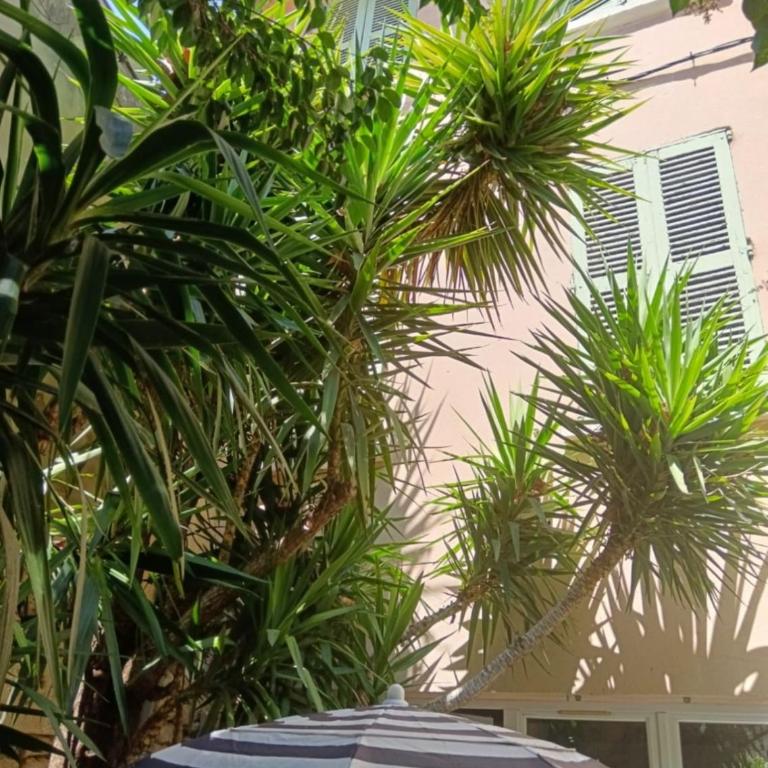 STUDIO of 24m with small patio - Studio - 15