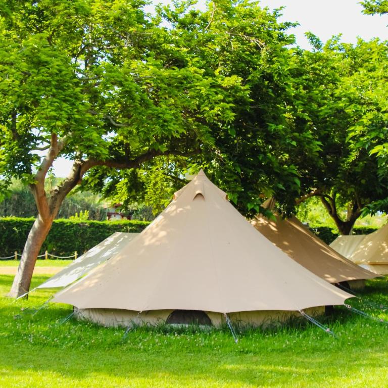 Tente double - Hegoa Surf Camp Pays Basque - Double Tent - Tienda Doble - Tienda - 7