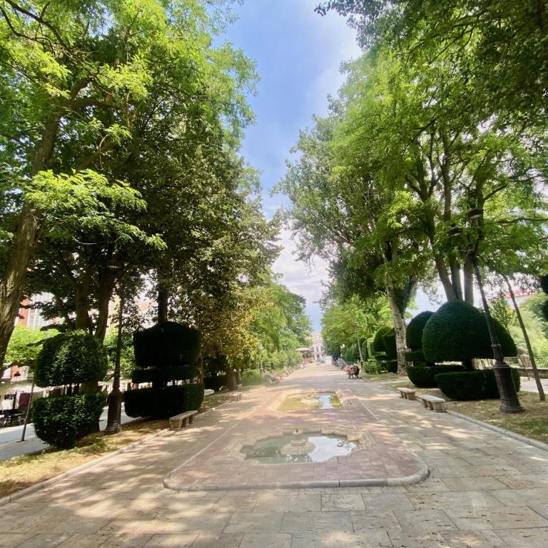 Tu Spazio Catedral - Apartamento de 1 dormitorio - 14